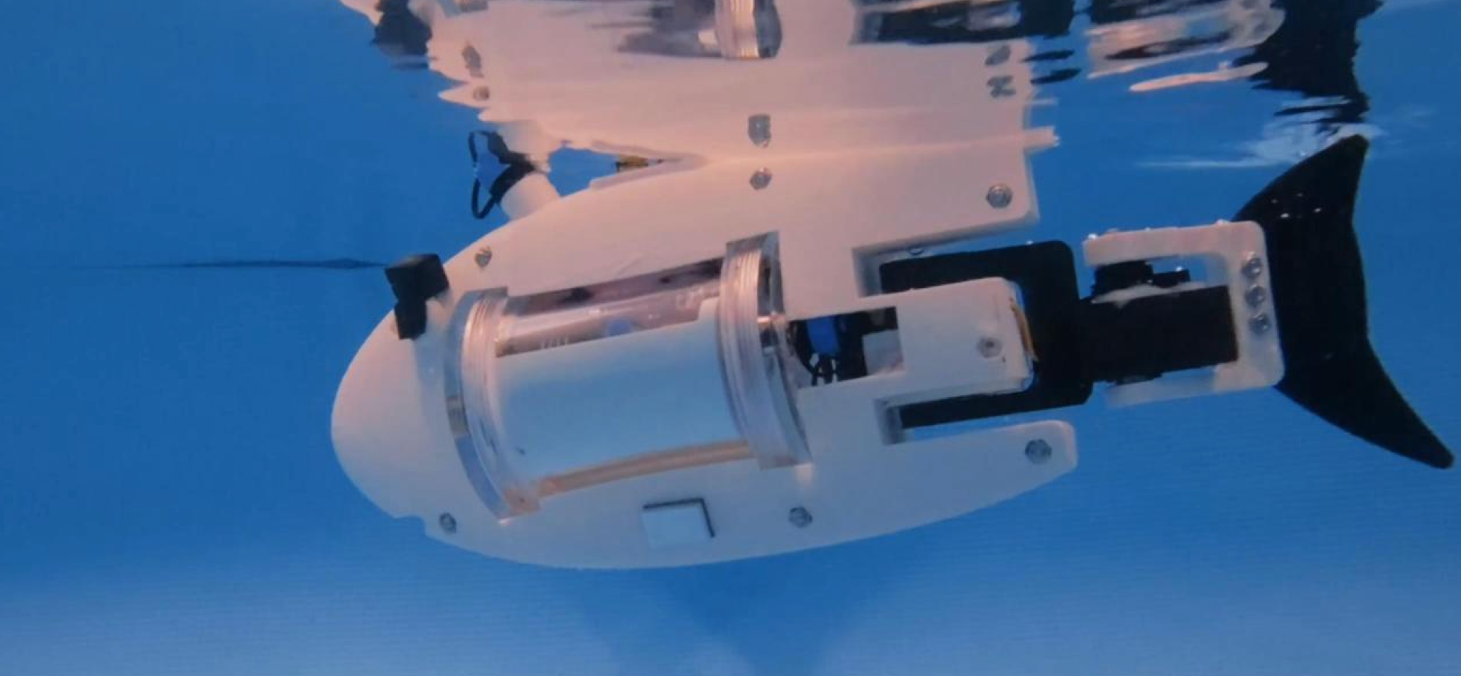 RoboFish Pro underwater side view